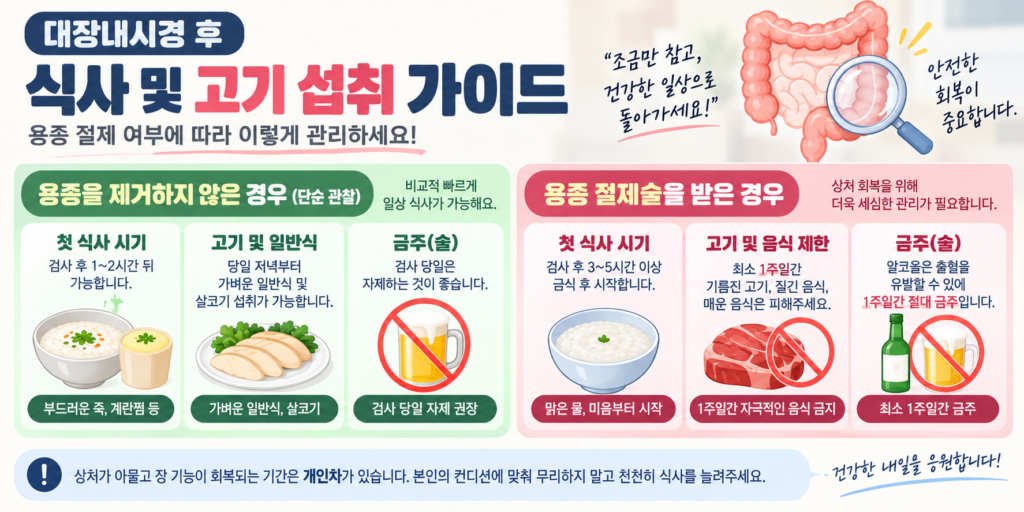 대장내시경 후 용종 절제 여부(단순 관찰 vs 용종 절제술)에 따른 식사, 고기 섭취, 금주 수칙을 안내하는 인포그래픽 이미지. 단순 관찰 시 검사 1~2시간 뒤 부드러운 죽 식사 및 당일 저녁 살코기 섭취가 가능함을 설명하고, 용종 절제 시 3~5시간 이상 금식 후 미음 섭취 및 1주일간 기름진 고기·자극적인 음식 제한과 절대 금주가 필요함을 대비하여 보여준다.