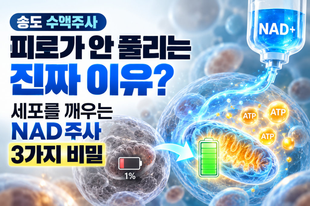'송도 수액주사', '피로가 안 풀리는 진짜 이유? 세포를 깨우는 NAD 주사 3가지 비밀' 문구와 함께, 1%로 방전된 세포가 푸른빛의 NAD+ 수액 투여를 통해 미토콘드리아가 황금빛으로 활성화되고 완충된 초록색 배터리와 ATP 에너지를 방출하는 과정을 표현한 인포그래픽.
