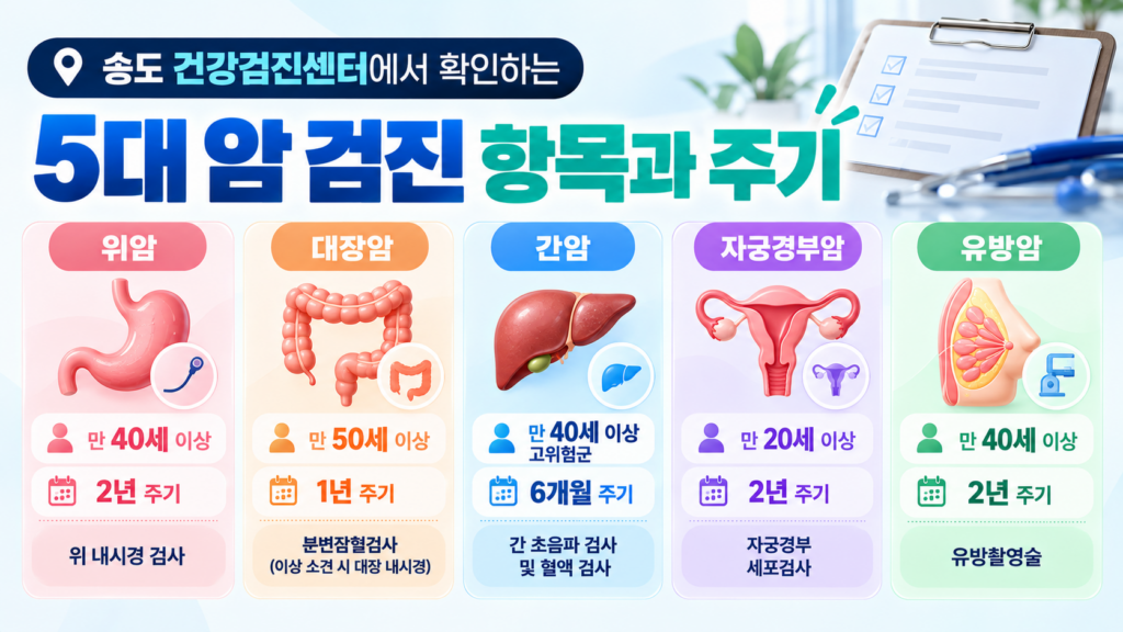 송도 건강검진센터, 2026년 공단 검진 대상자가 놓치면 후회할 3가지 핵심 3 송도 건강검진센터 안내: 5대 암 검진 항목과 주기 인포그래픽. 위암(만 40세 이상, 2년 주기, 위 내시경 검사), 대장암(만 50세 이상, 1년 주기, 분변잠혈검사), 간암(만 40세 이상 고위험군, 6개월 주기, 간 초음파 검사 및 혈액 검사), 자궁경부암(만 20세 이상, 2년 주기, 자궁경부 세포검사), 유방암(만 40세 이상, 2년 주기, 유방촬영술) 안내
